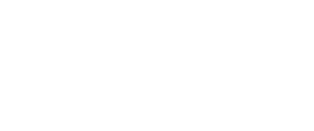 RAID Studios Logo